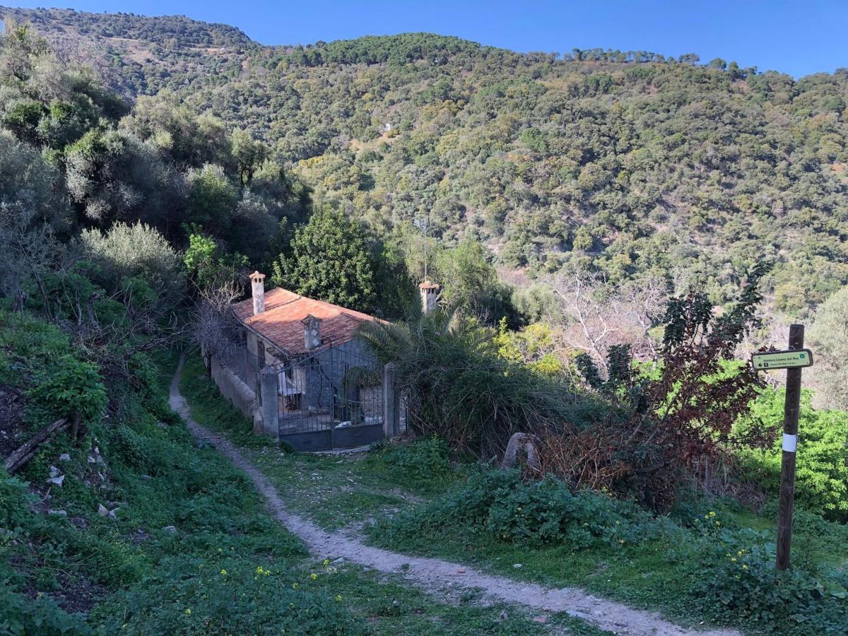 Molino De Santos Villa Benarrabá Екстериор снимка