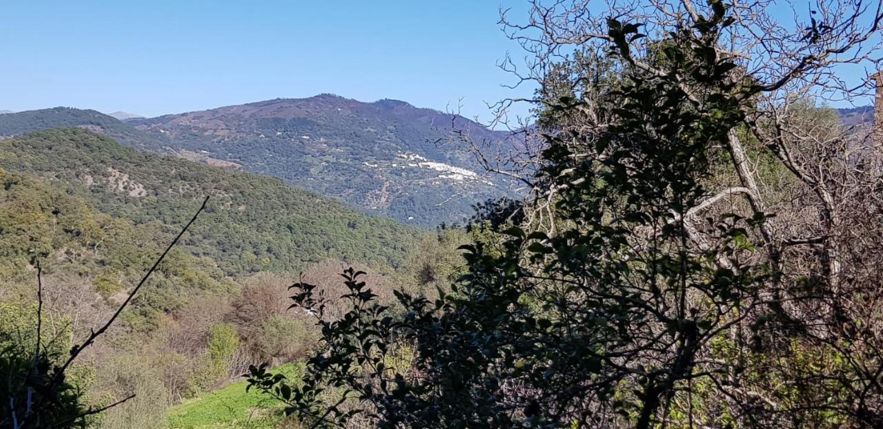 Molino De Santos Villa Benarrabá Екстериор снимка